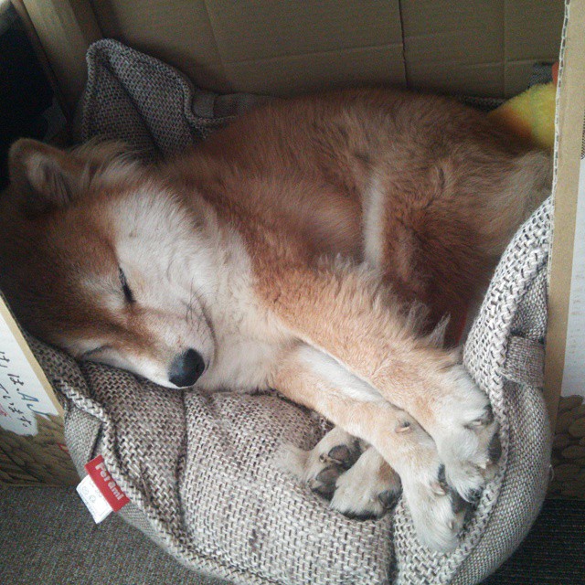 “全民足球运动推广持续升温,青少年踢球热潮涌动”,青少年足球运动蔚然成风