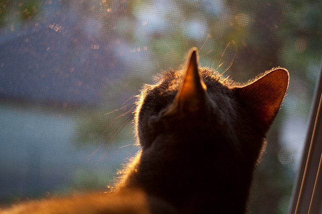 “全场激情:最燃比赛瞬间排行榜”,激情燃烧的歌曲有哪些