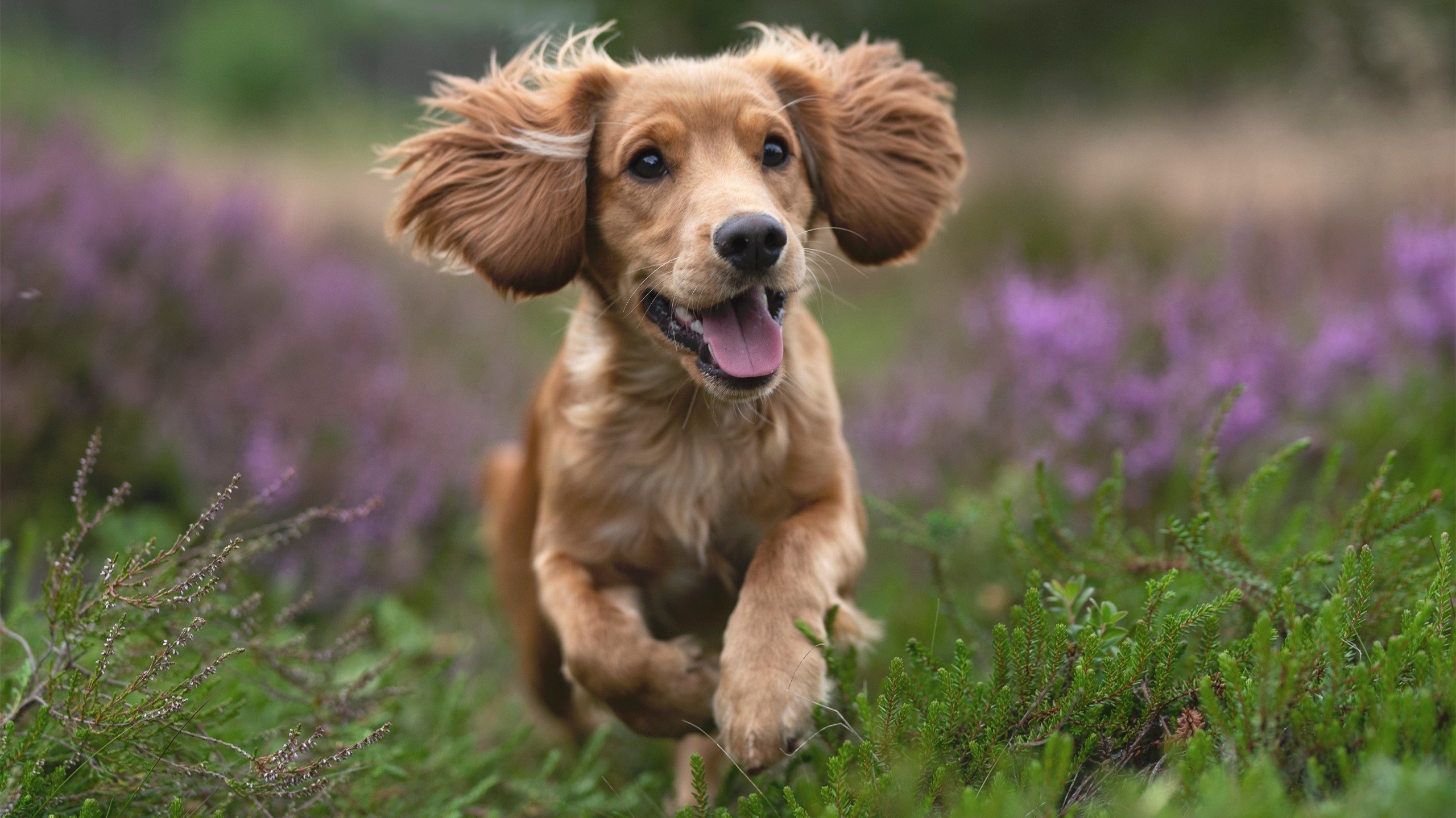 爱游戏登录入口-“青春逐梦”青少年篮球公益带动乡村体育振兴，助推全民健身，青少年篮球比赛活动