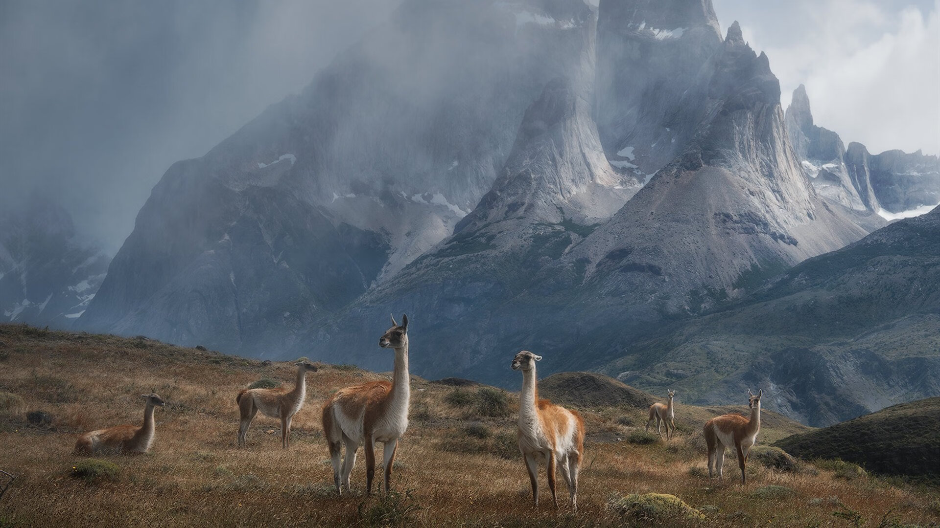 德甲比赛,精彩瞬间背后彰显战术创新,德甲打法