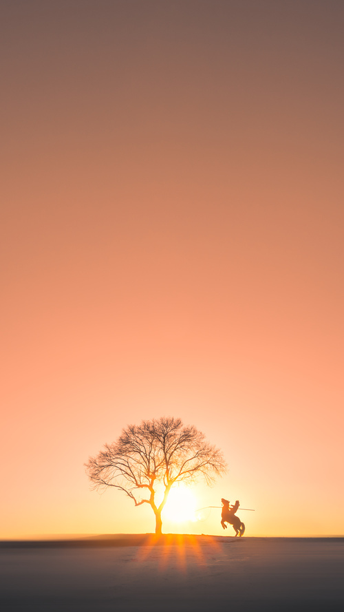 托桑·埃夫布奥姆万成为NBA未来之星，埃托奥布冯