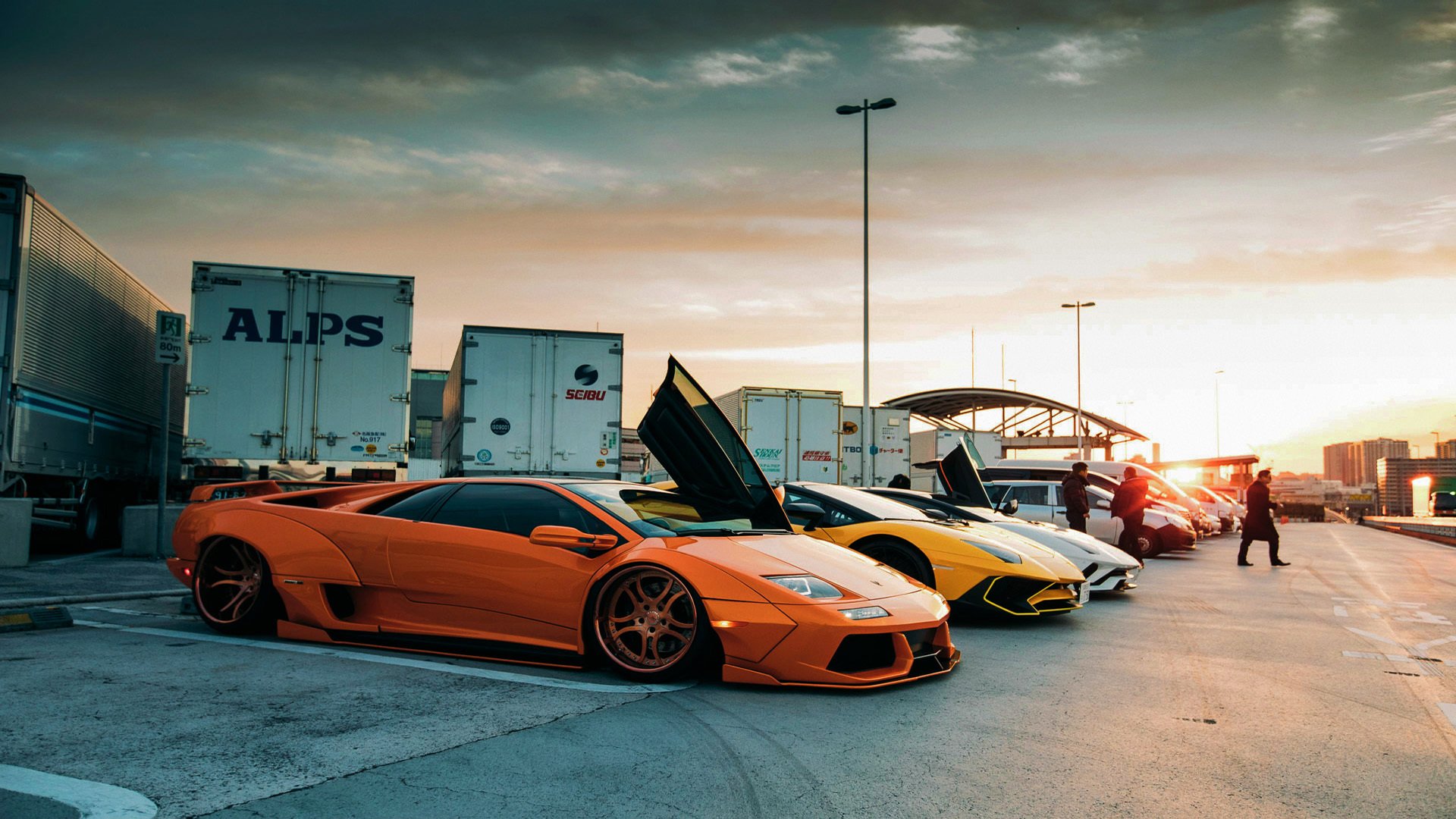 潜力黑马:一批“黑马”新星大揭秘,未来可期,黑马潜力股是什么意思