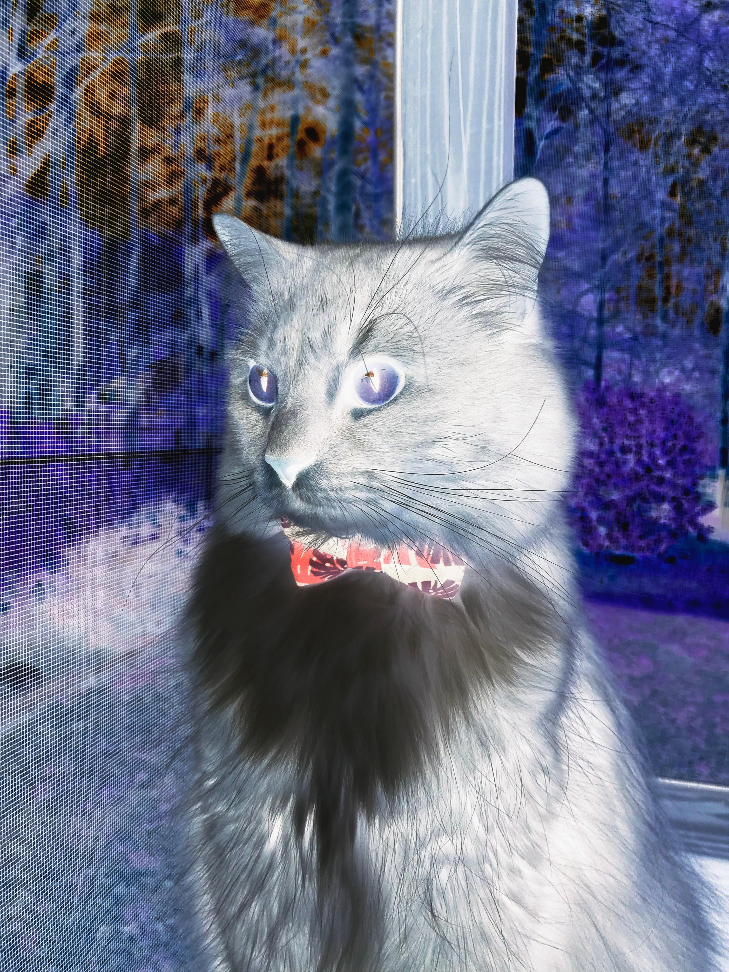 爱游戏娱乐平台-禁区守护者：联盟最具统治力的防守球员排行，禁区守护者加点