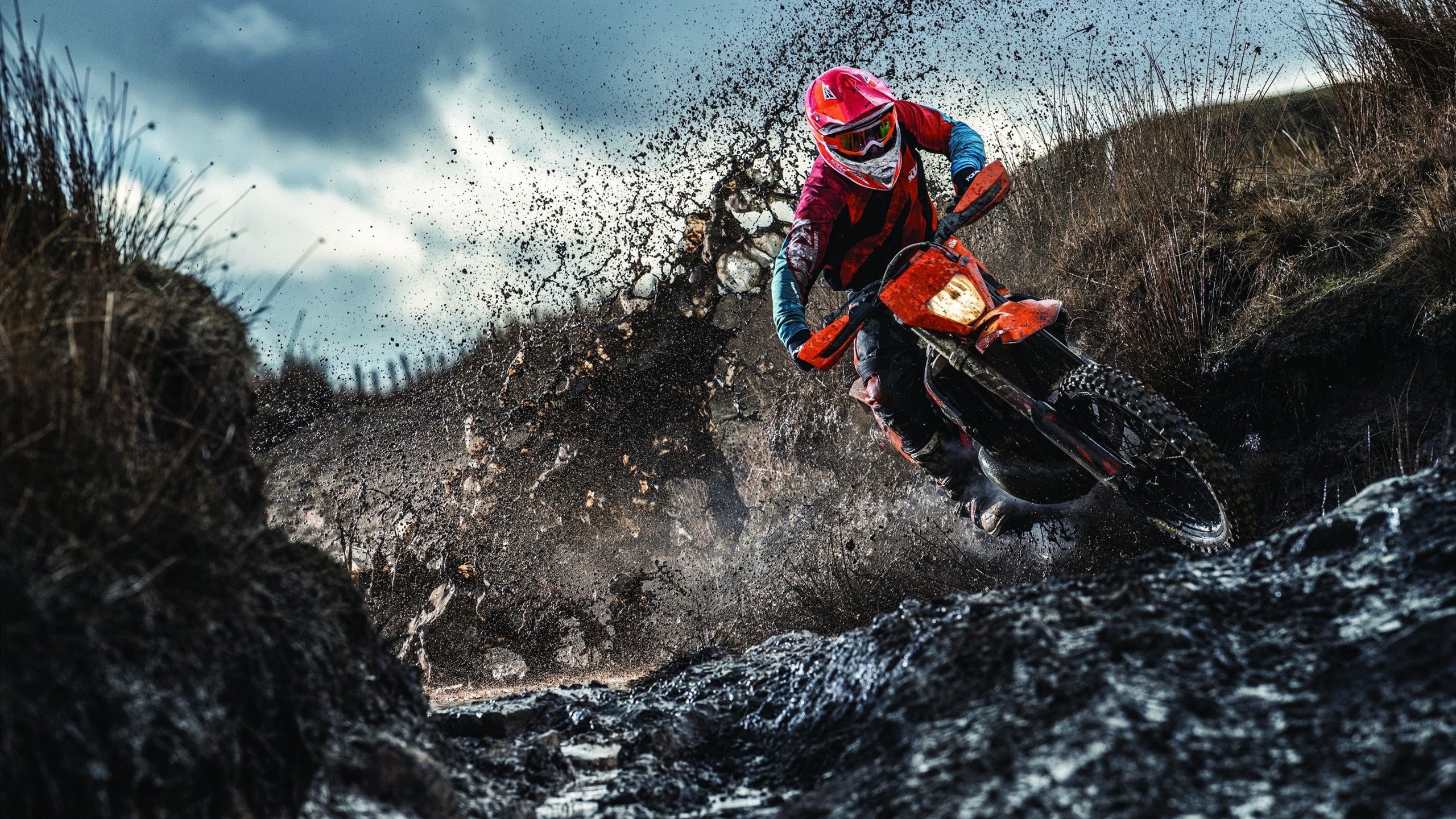 爱游戏在线登录入口-赛车行业的数字化未来，赛车产业