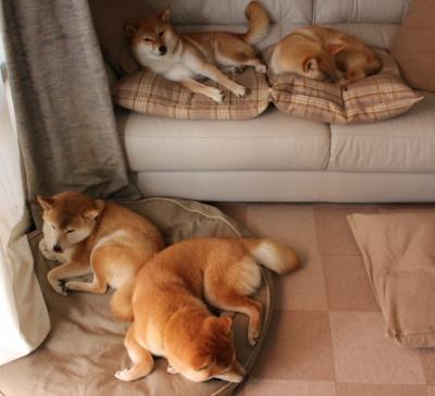 爱游戏体育APP下载-利物浦客场大胜，领跑英超积分榜，利物浦2020英超积分