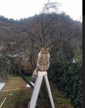 AYX体育官网-多名国脚参与俱乐部比赛，表现出色引关注，国脚什么