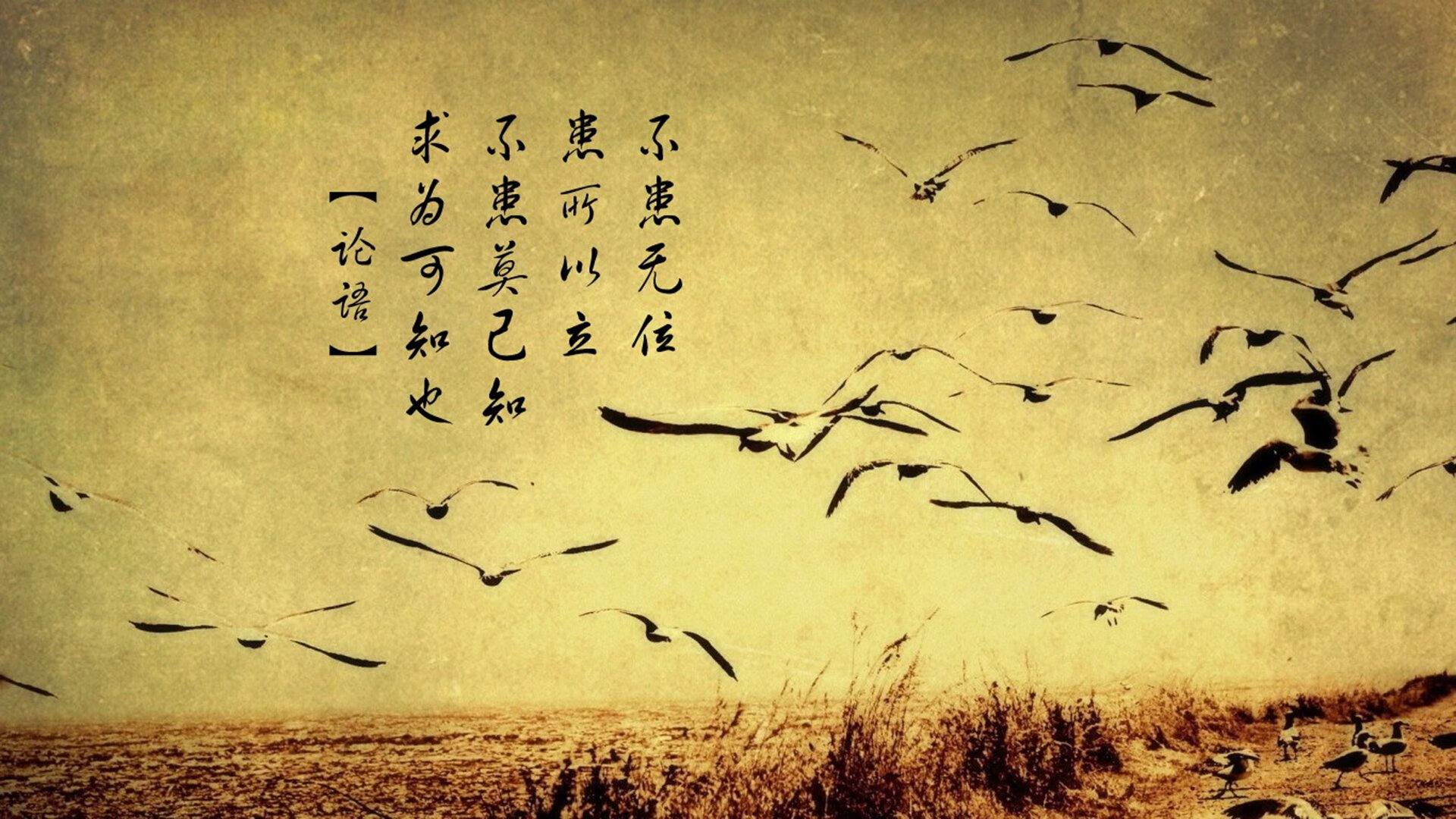 爱游戏娱乐网址-多特蒙德力克曼城，晋级欧冠半决赛！，欧冠多特蒙德夺冠