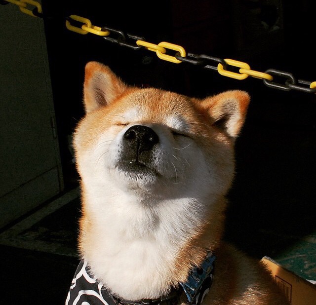 AYX体育官网-福建鲟龙团队配合更加默契，福建龙鳇鲟业董事长