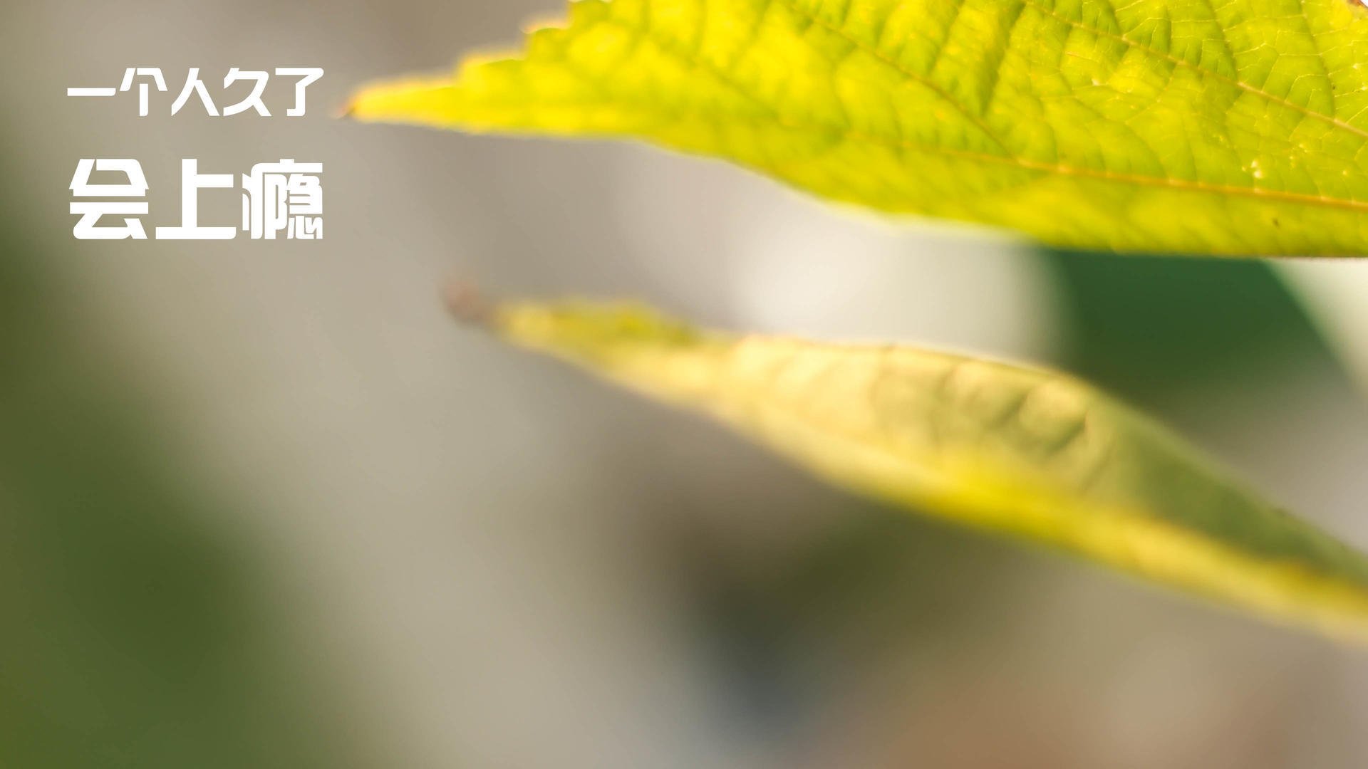 世界骑行耐力挑战赛中国参赛团结协作,骑行耐力和速度怎么训练