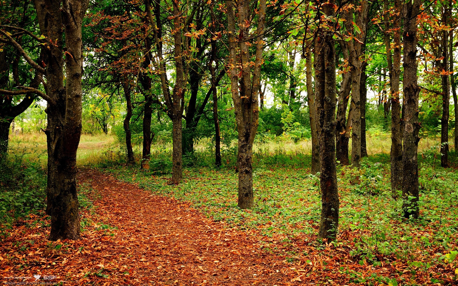 爱游戏娱乐平台-法甲球队视频分析提升防守协作与站位优化实践，法甲 球队