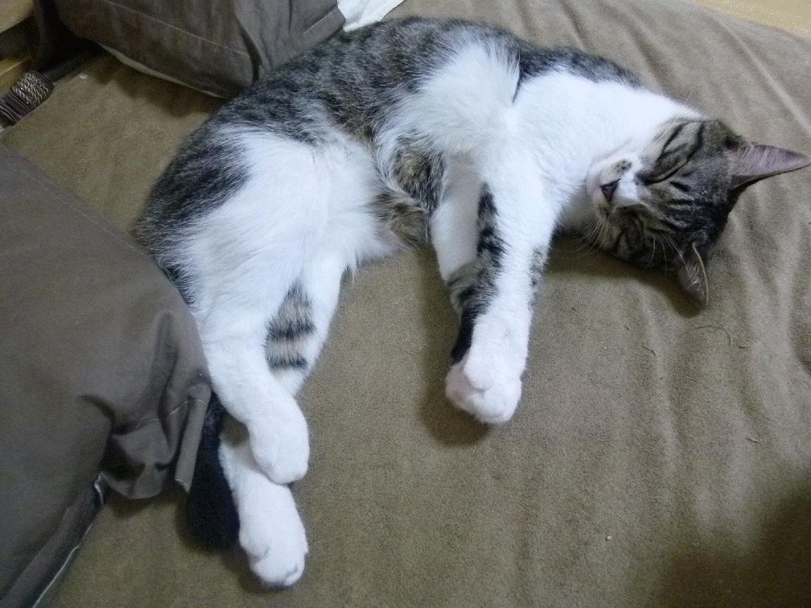 中国男篮新秀表现出色为球队注入活力，中国男篮新秀是谁