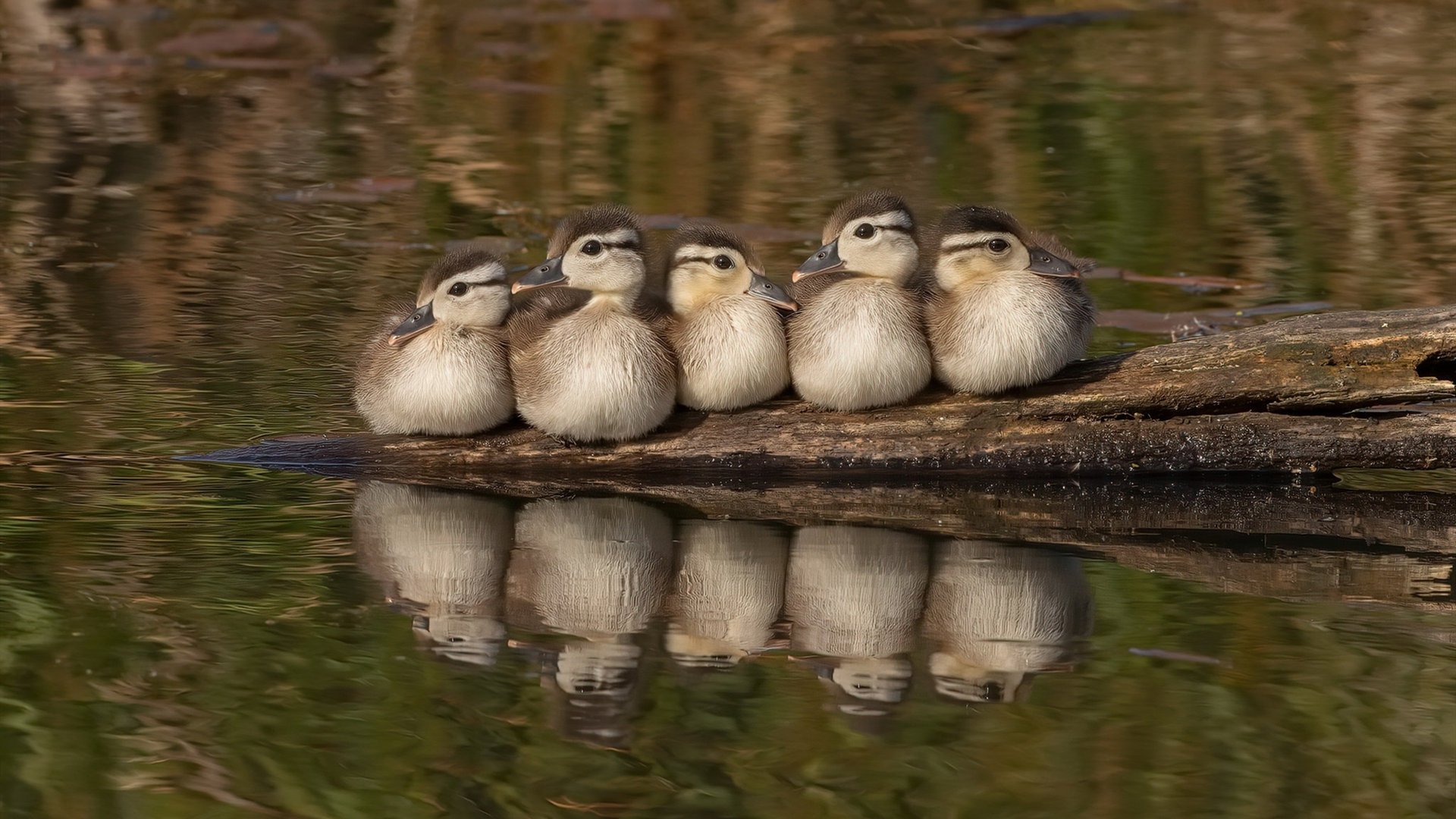 爱游戏下载-今日焦点国足再战亚洲劲旅能否终结不胜魔咒，国足亚洲区预选赛比赛时间