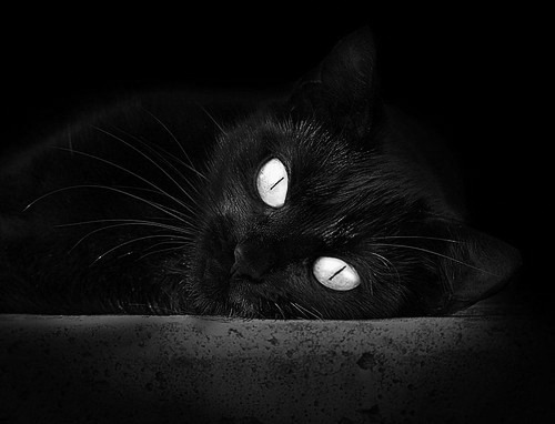 爱游戏电竞官网-全国青少年柔道挑战赛上海站火热进行，全国青少年柔道冠军都有谁