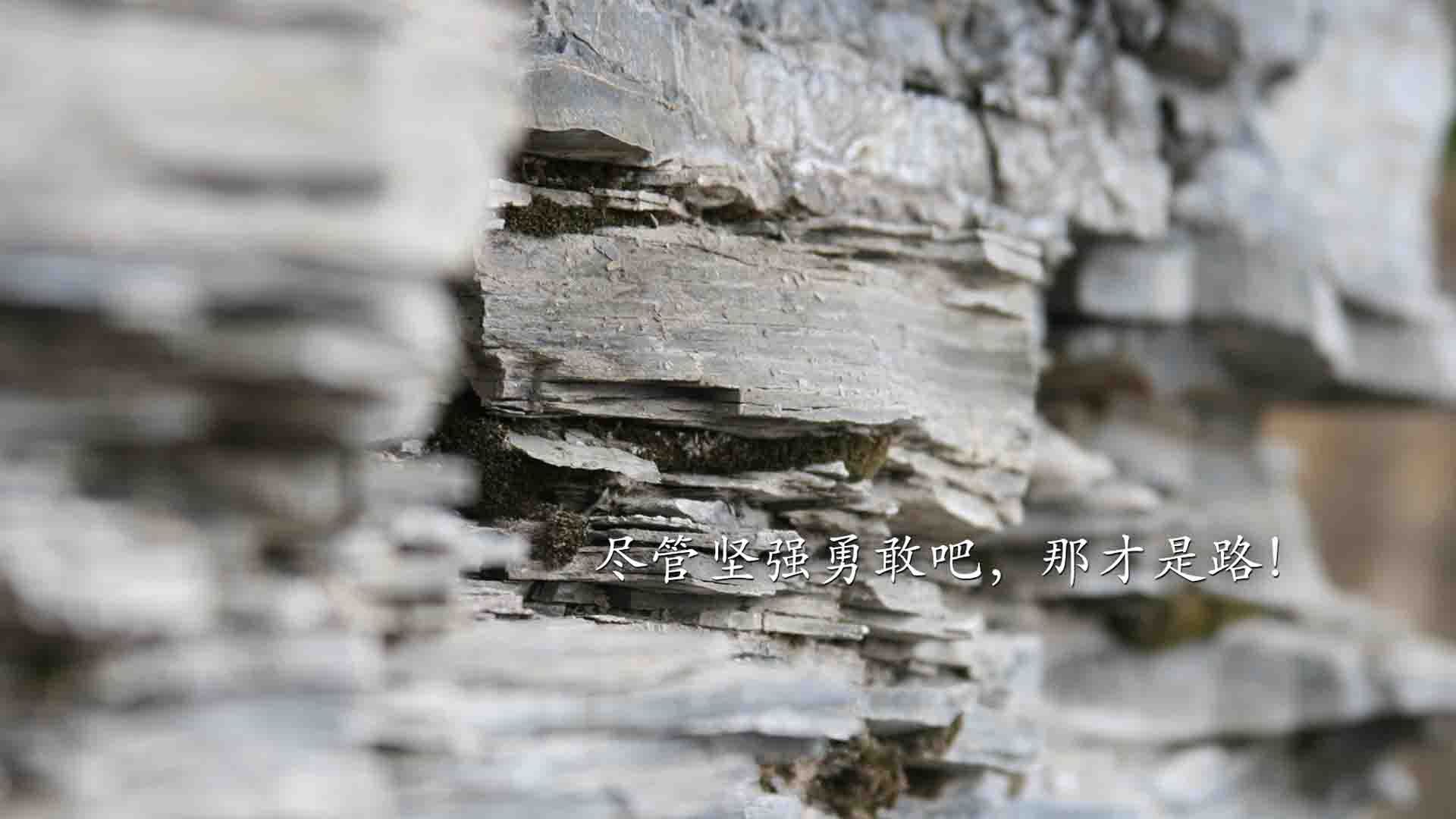 新闻中心携手高校共建合作平台,部署共建高校