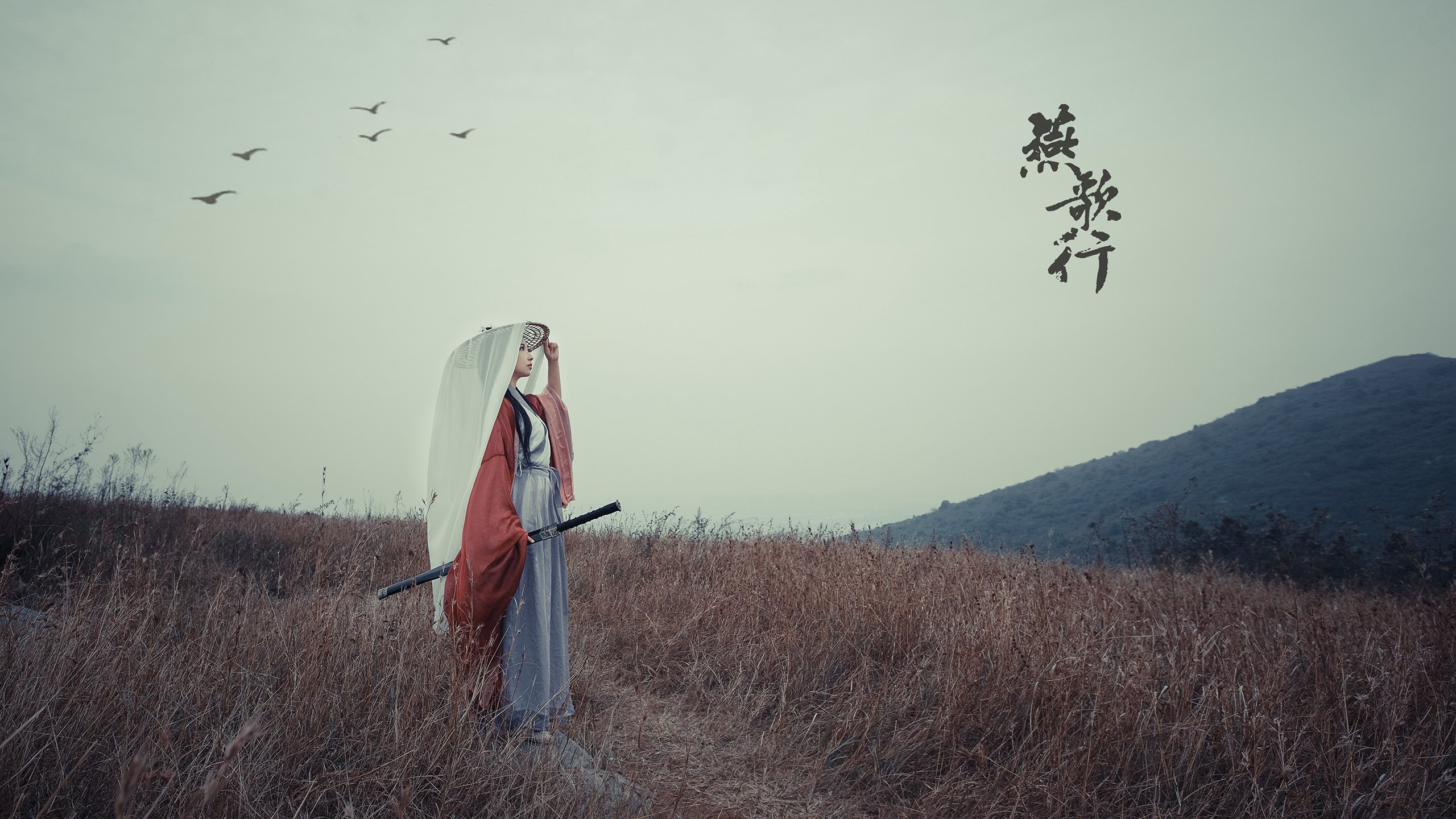 深圳领航队通过精准引援提升竞争实力，深圳领航者青年队领队