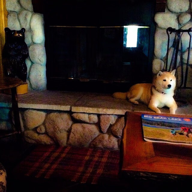 -意大利双人组合赛场表现赢得掌声，意大利双人组合赛场表现赢得掌声的游戏