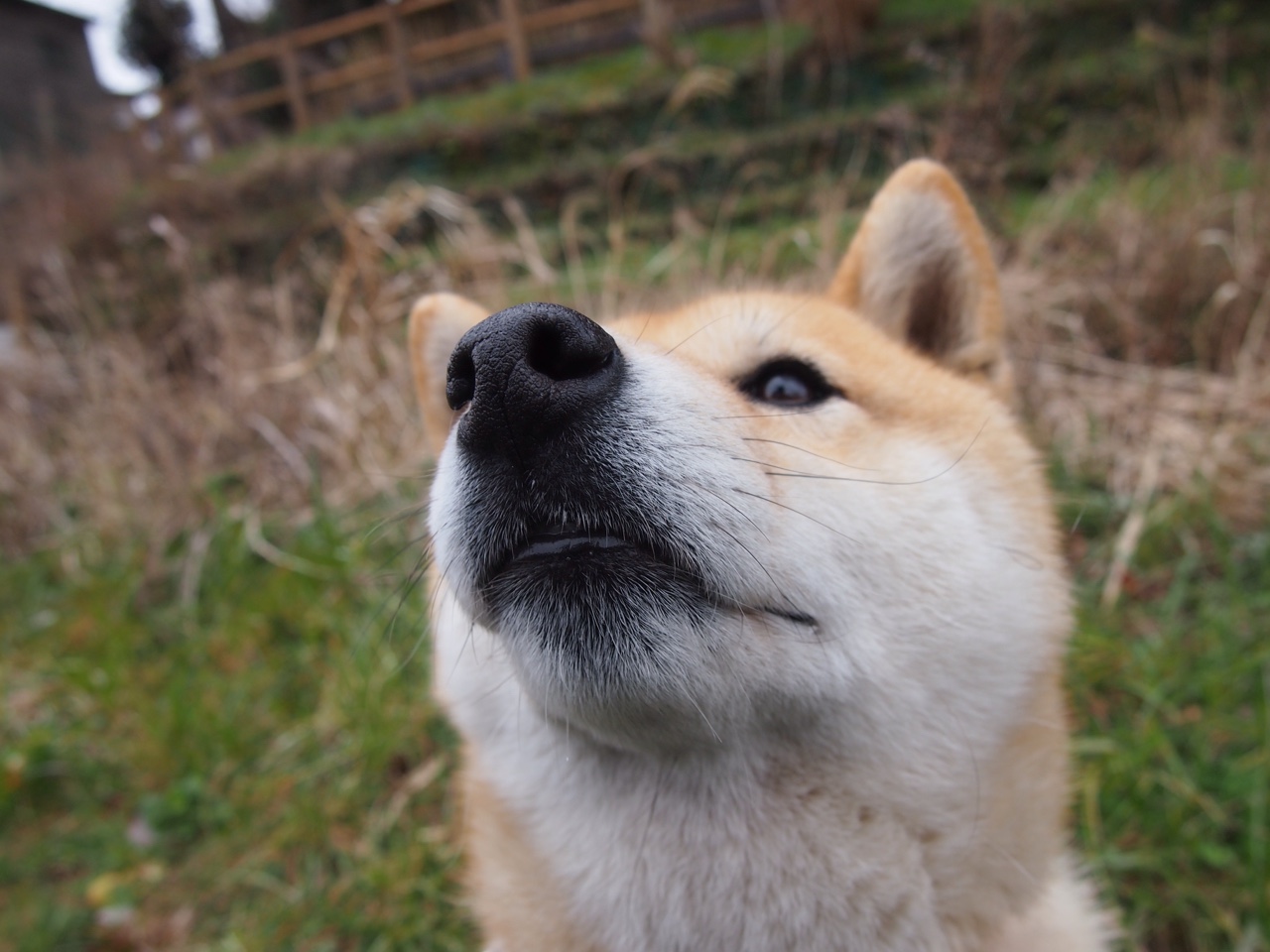 爱游戏中国官方网站平台-战术执行细节果断，如 power play 抢攻效率高，战术抢跑